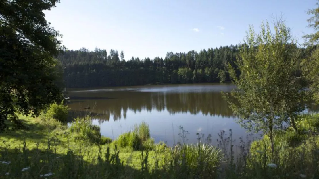 Rhône : la baignade temporairement suspendue au lac des Sapins