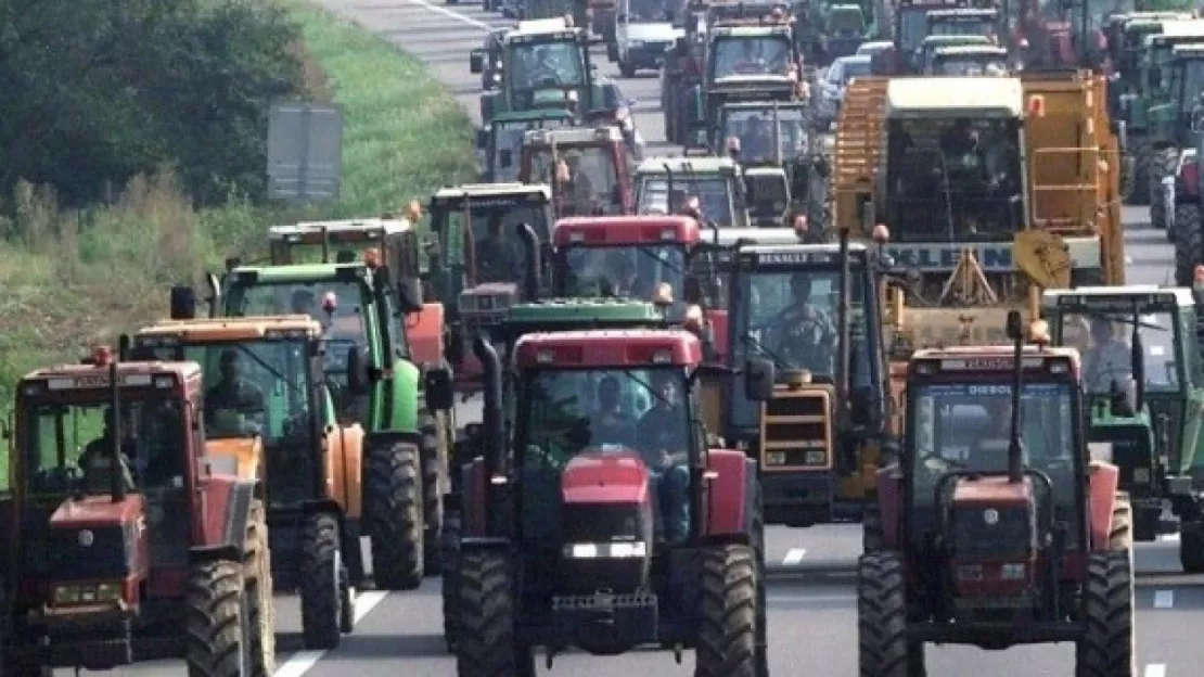 Selon un récent sondage, les Français cautionnent à 81% les manifestations d'agriculteurs