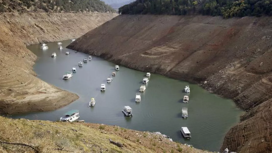 Selon une étude, des dizaines de millions de grands arbres des forêts californiennes sont menacés par la sécheresse historique qui frappe l’Etat depuis 2011