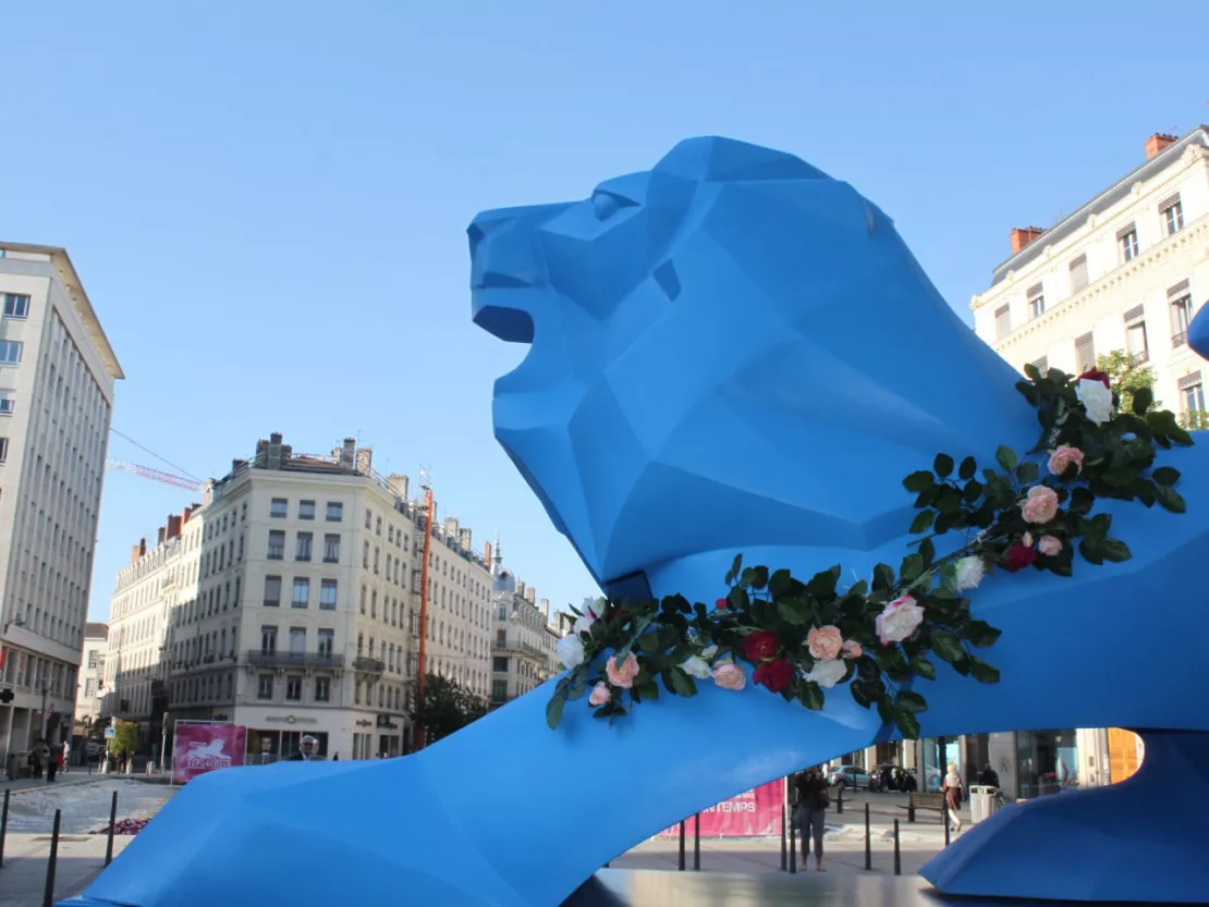 Lyon : un nouveau numéro de la rue de la Ré acquis par Abu Dhabi