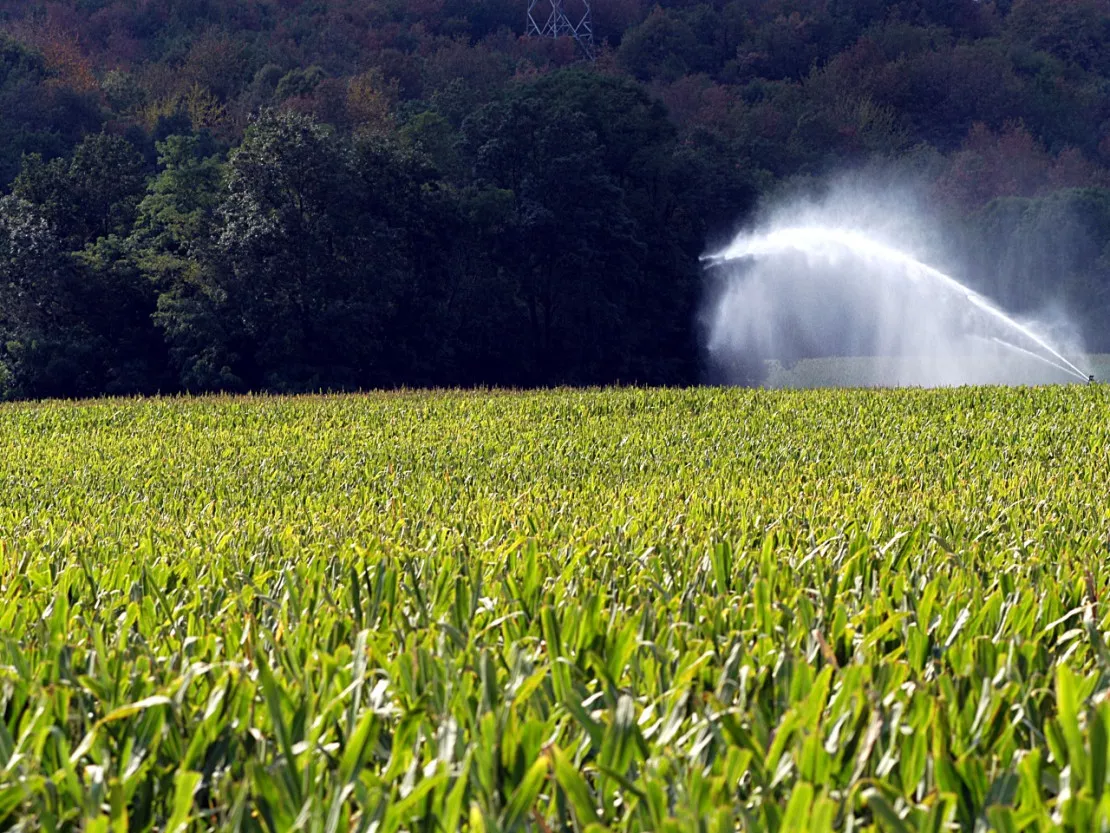 1076 tonnes de pesticides dangereux vendues chaque année dans le Rhône