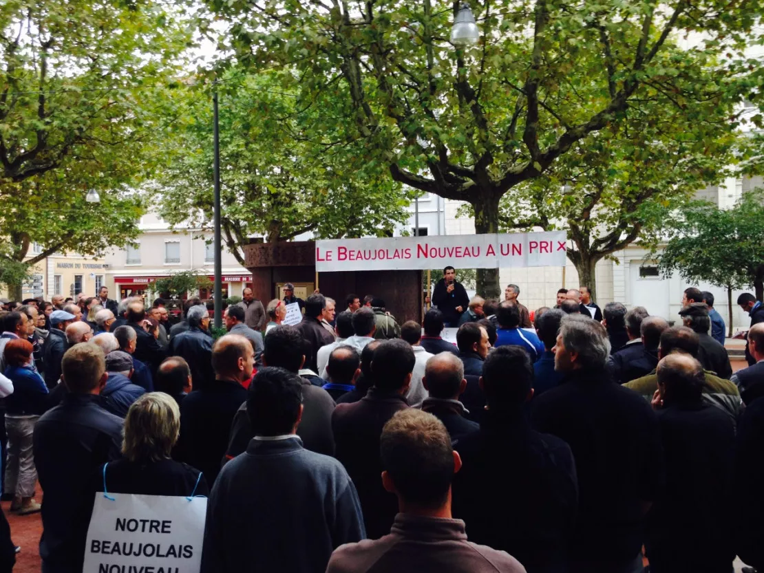 Rhône : les viticulteurs manifestent contre la baisse des prix fixés par les négociants