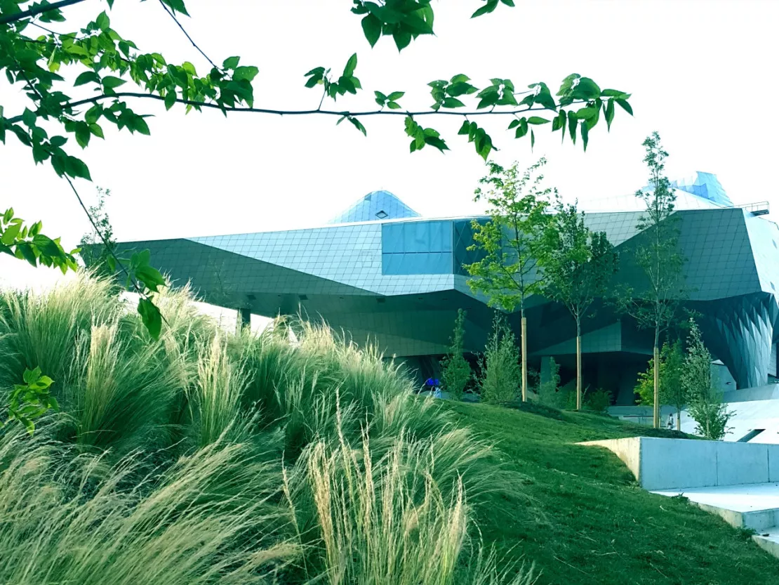 Le Musée des Confluences : des visiteurs et des œuvres