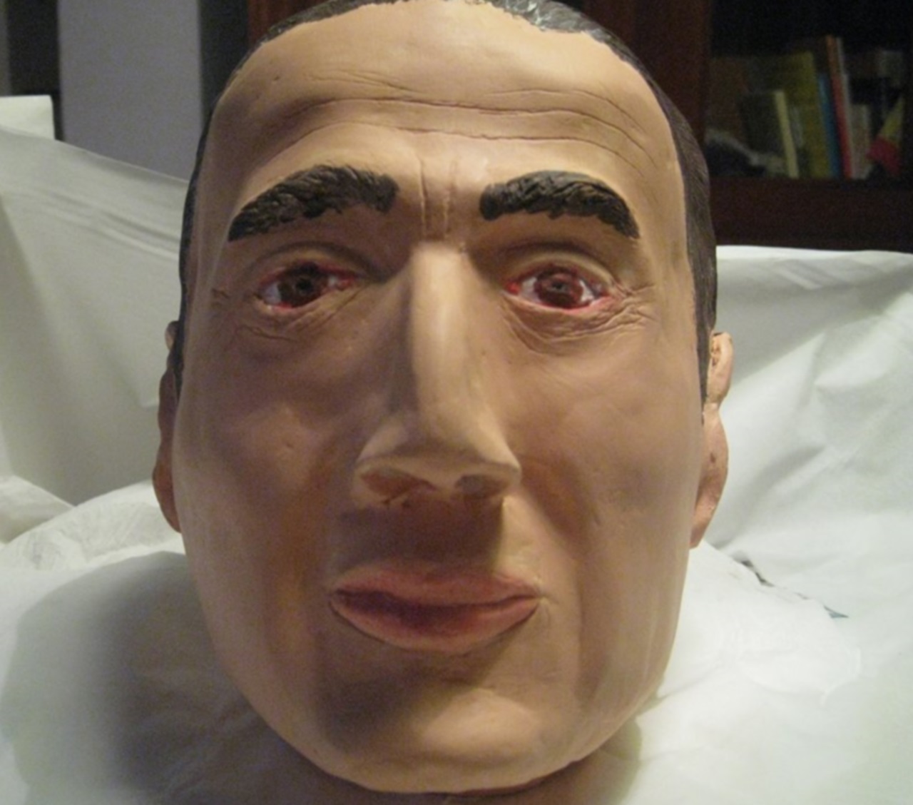 Squelette retrouvé dans une malle : un paléoanthropologue lyonnais reconstitue sa tête Squelette retrouvé dans une malle : un paléoanthropologue lyonnais reconstitue sa tête