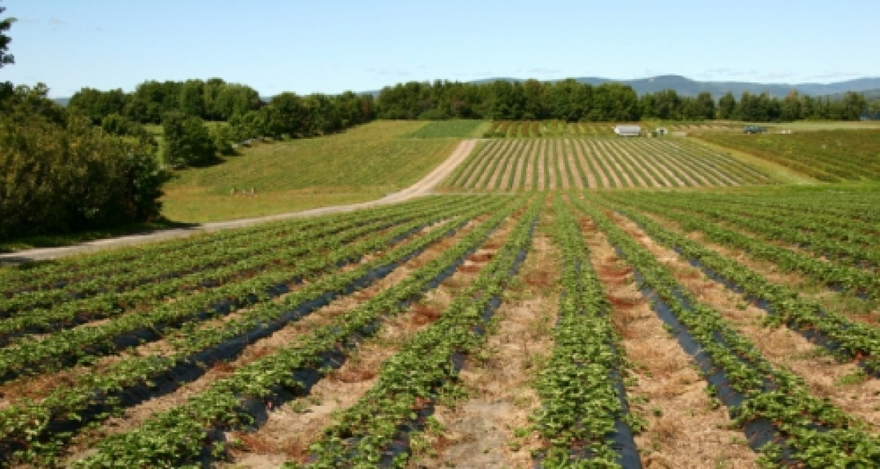 L’agriculture du Rhône en fête L’agriculture du Rhône en fête