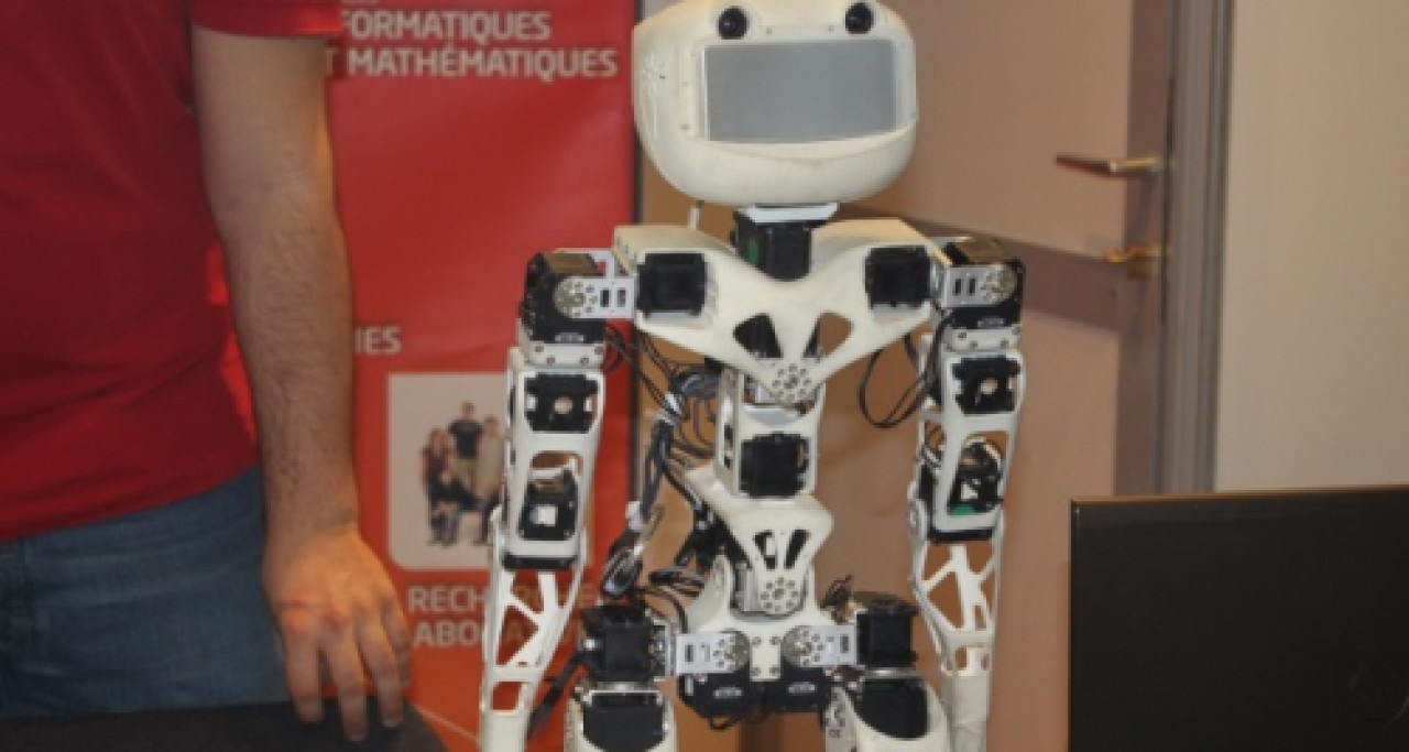 Lyon : les robots d'Innorobo ont fait carton plein en 2014 Lyon : les robots d'Innorobo ont fait carton plein en 2014