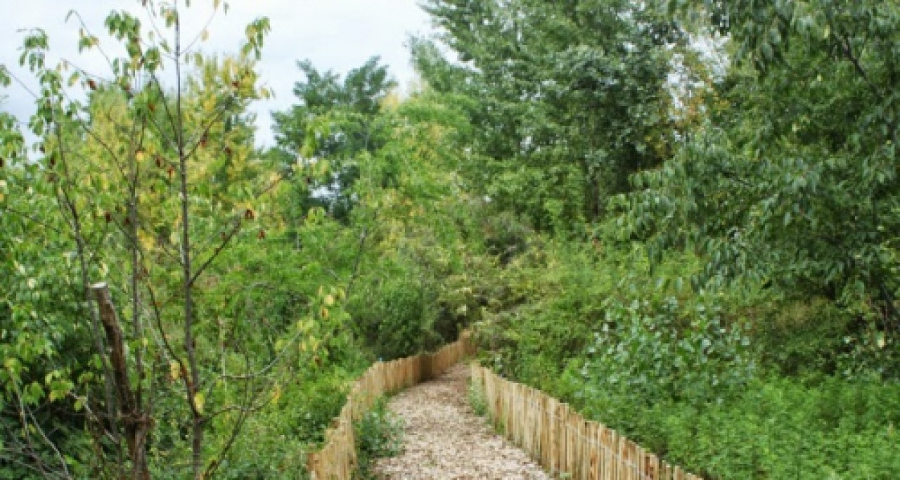 Le parc Vaclav-Havel inauguré à Villeurbanne Le parc Vaclav-Havel inauguré à Villeurbanne