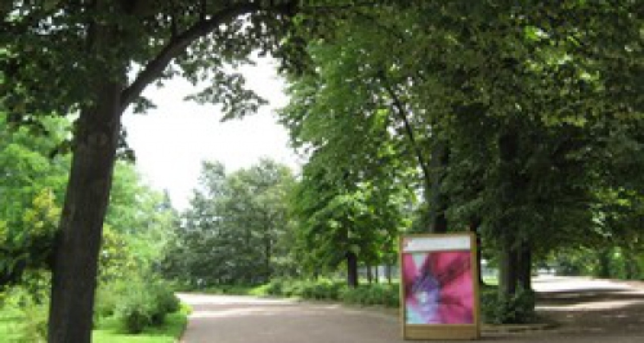 Rhône : avec les beaux jours attention au retour des pollens Rhône : avec les beaux jours attention au retour des pollens