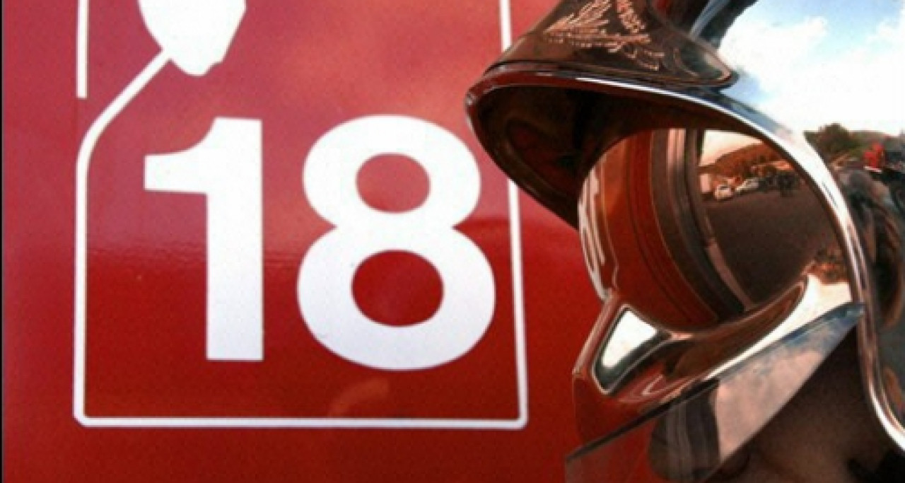 Lyon 5e : les pompiers à la recherche d’une mygale Lyon 5e : les pompiers à la recherche d’une mygale