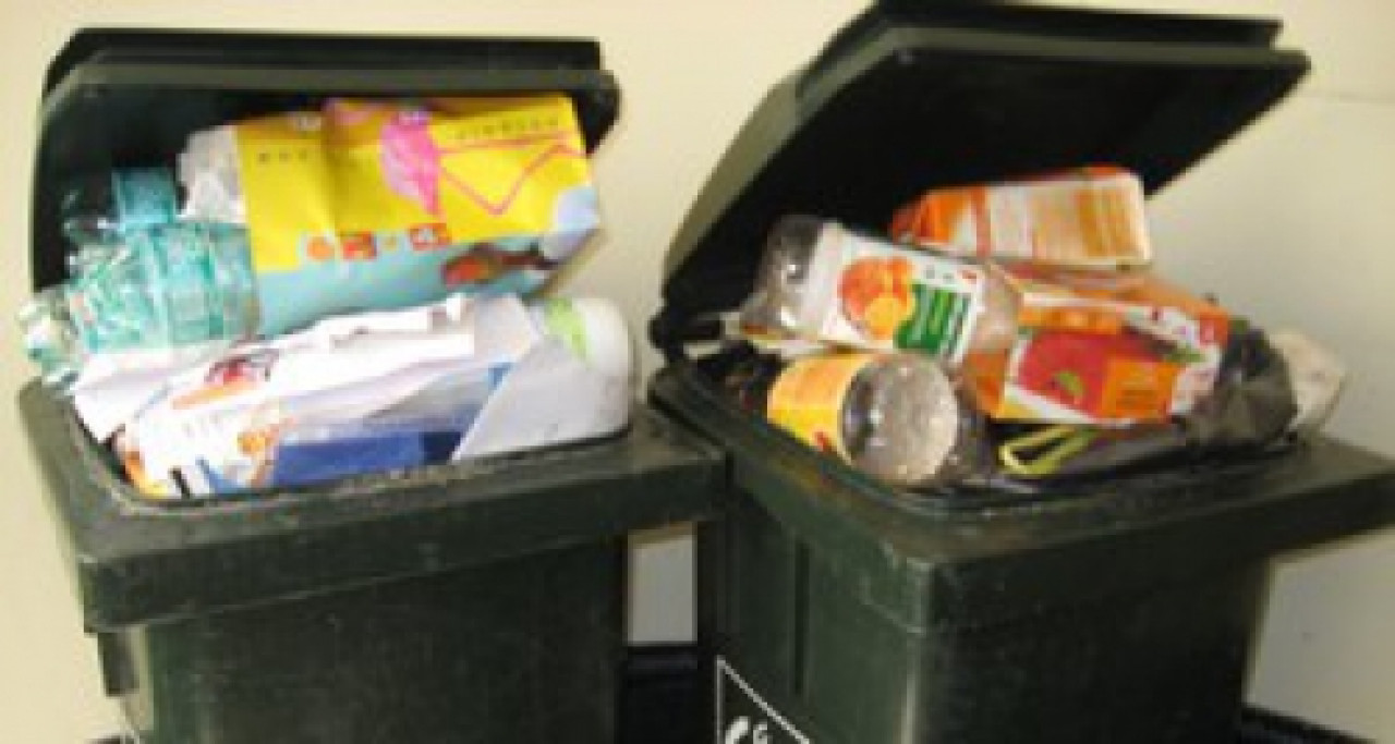 Grand Lyon : nouvelle organisation pour la collecte des déchets lundi Grand Lyon : nouvelle organisation pour la collecte des déchets lundi