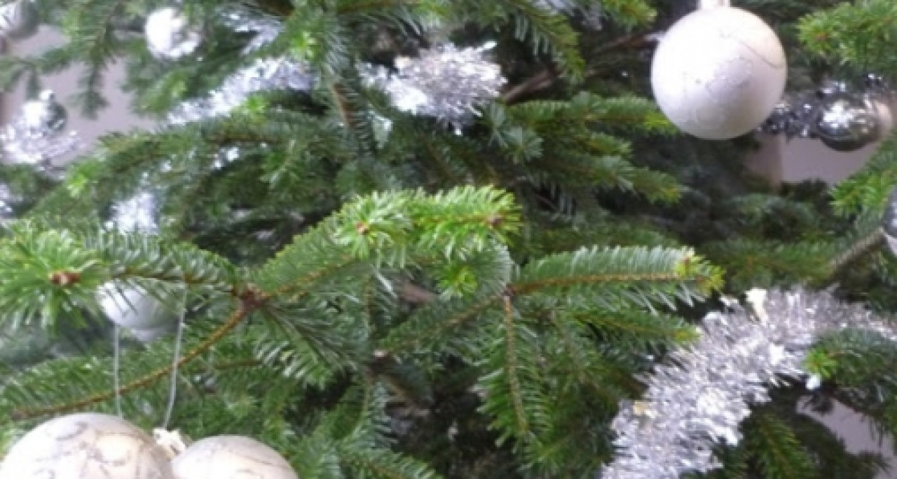 Grand Lyon : la collecte des sapins de Noël débute lundi Grand Lyon : la collecte des sapins de Noël débute lundi