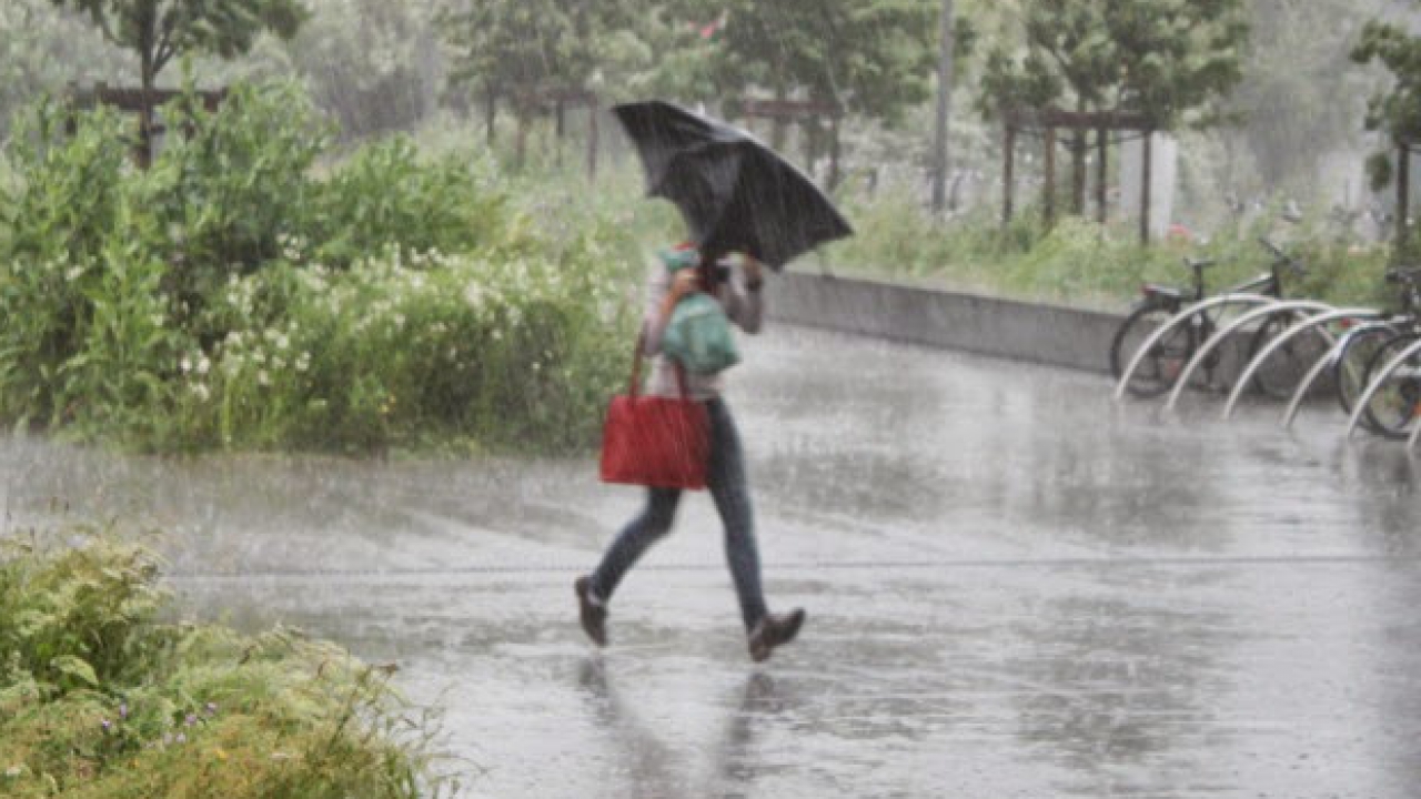Lyon : après la tempête, le déluge ! Lyon : après la tempête, le déluge !