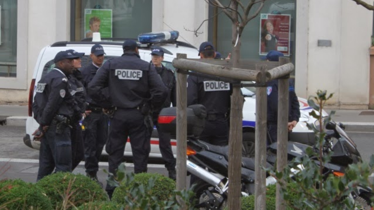 Deux moutons ont été égorgés dans une cour à Ecully Deux moutons ont été égorgés dans une cour à Ecully