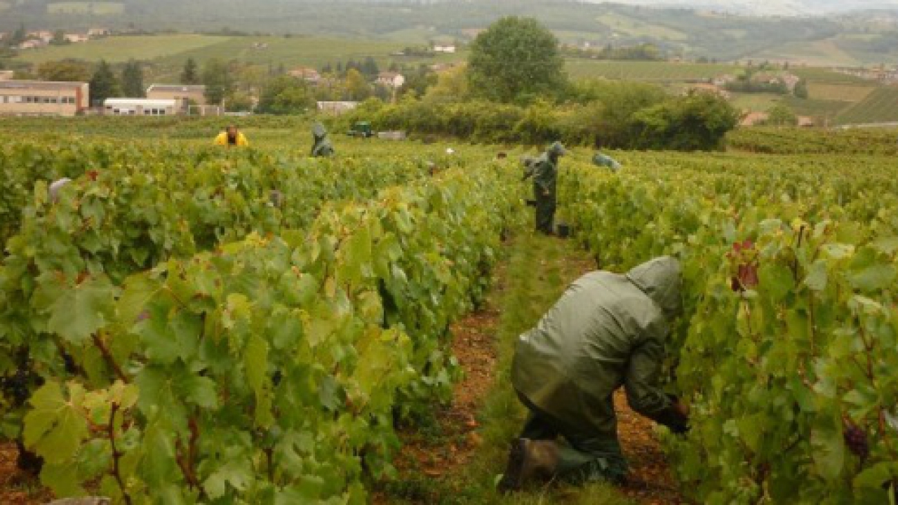 Euro 2016 de foot : qui installera son camp de base dans le Beaujolais ? Euro 2016 de foot : qui installera son camp de base dans le Beaujolais ?