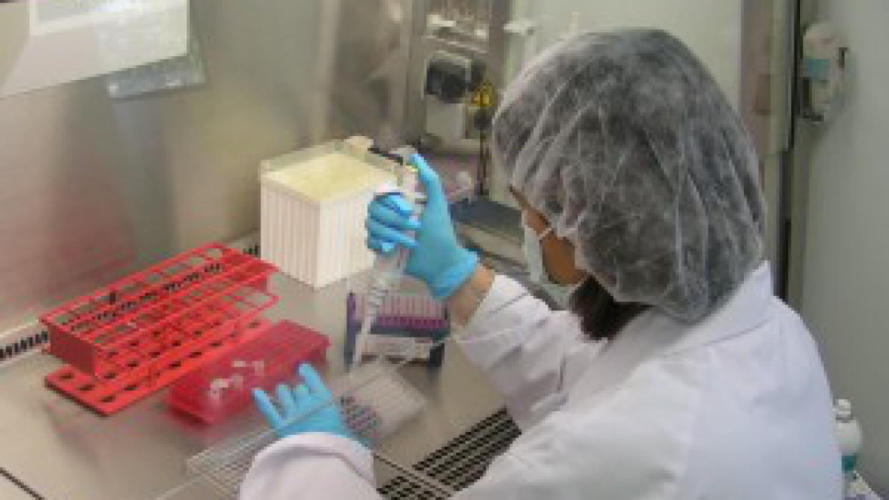 Eco : chiffre d’affaires en hausse pour Biomérieux Eco : chiffre d’affaires en hausse pour Biomérieux