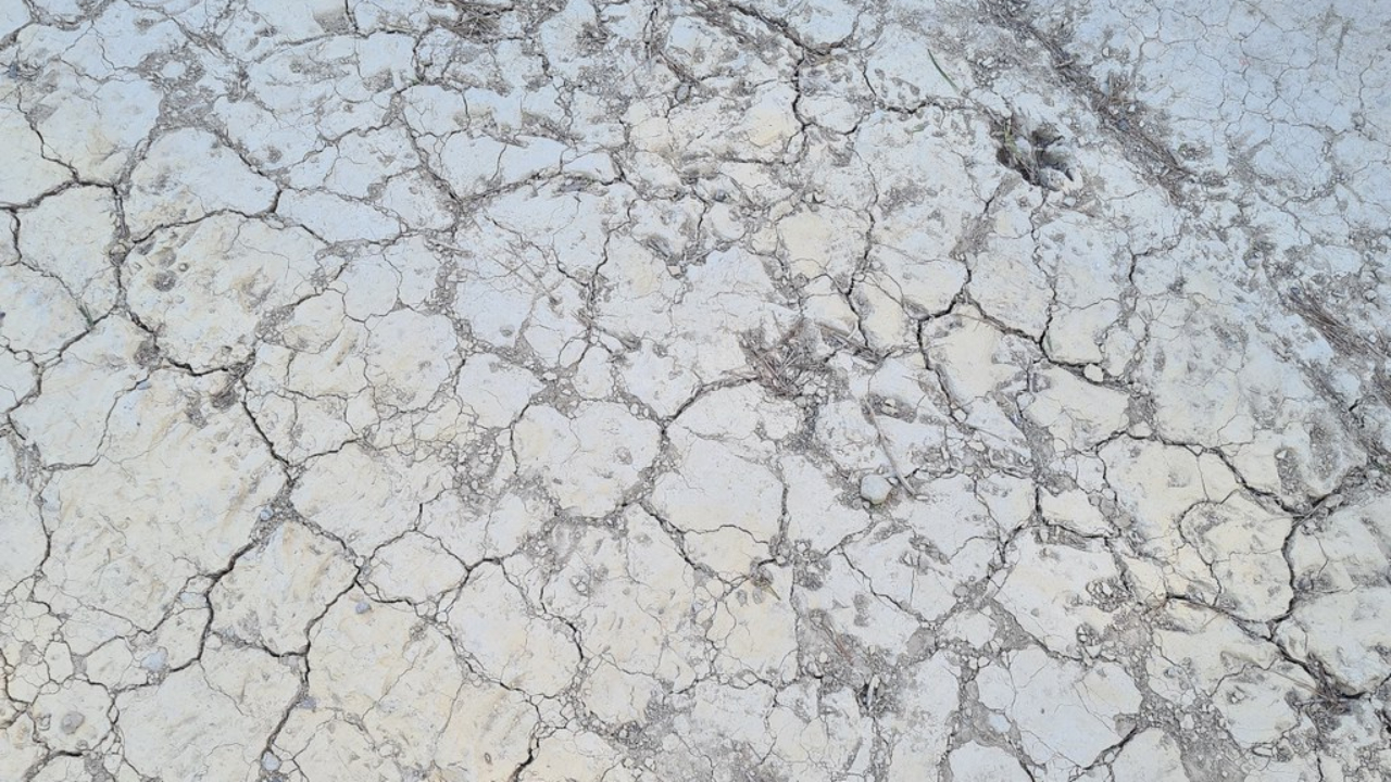 Cinq communes du Rhône reconnues en état de catastrophe naturelle