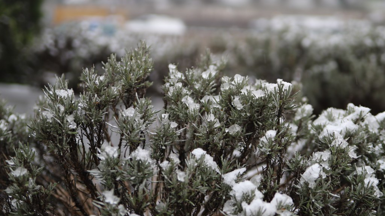 De le neige attendue à Lyon ce mercredi ? Le Rhône en vigilance jaune De le neige attendue à Lyon ce mercredi ? Le Rhône en vigilance jaune