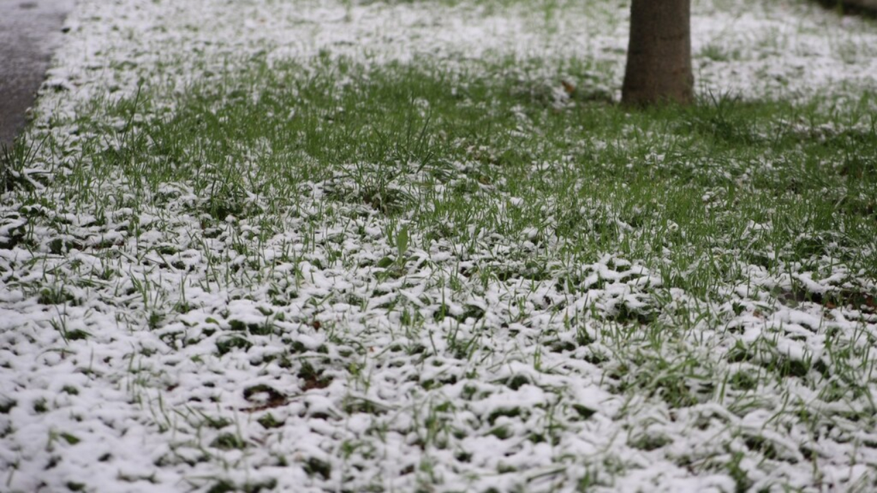 Des flocons de neige sur l'agglomération lyonnaise la nuit prochaine ? Des flocons de neige sur l'agglomération lyonnaise la nuit prochaine ?