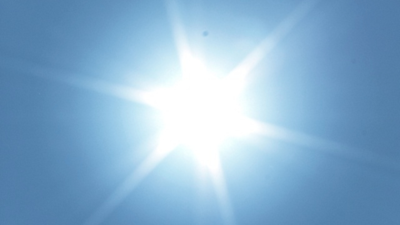 Fortes chaleurs à Lyon : des musées ouvrent gratuitement Fortes chaleurs à Lyon : des musées ouvrent gratuitement