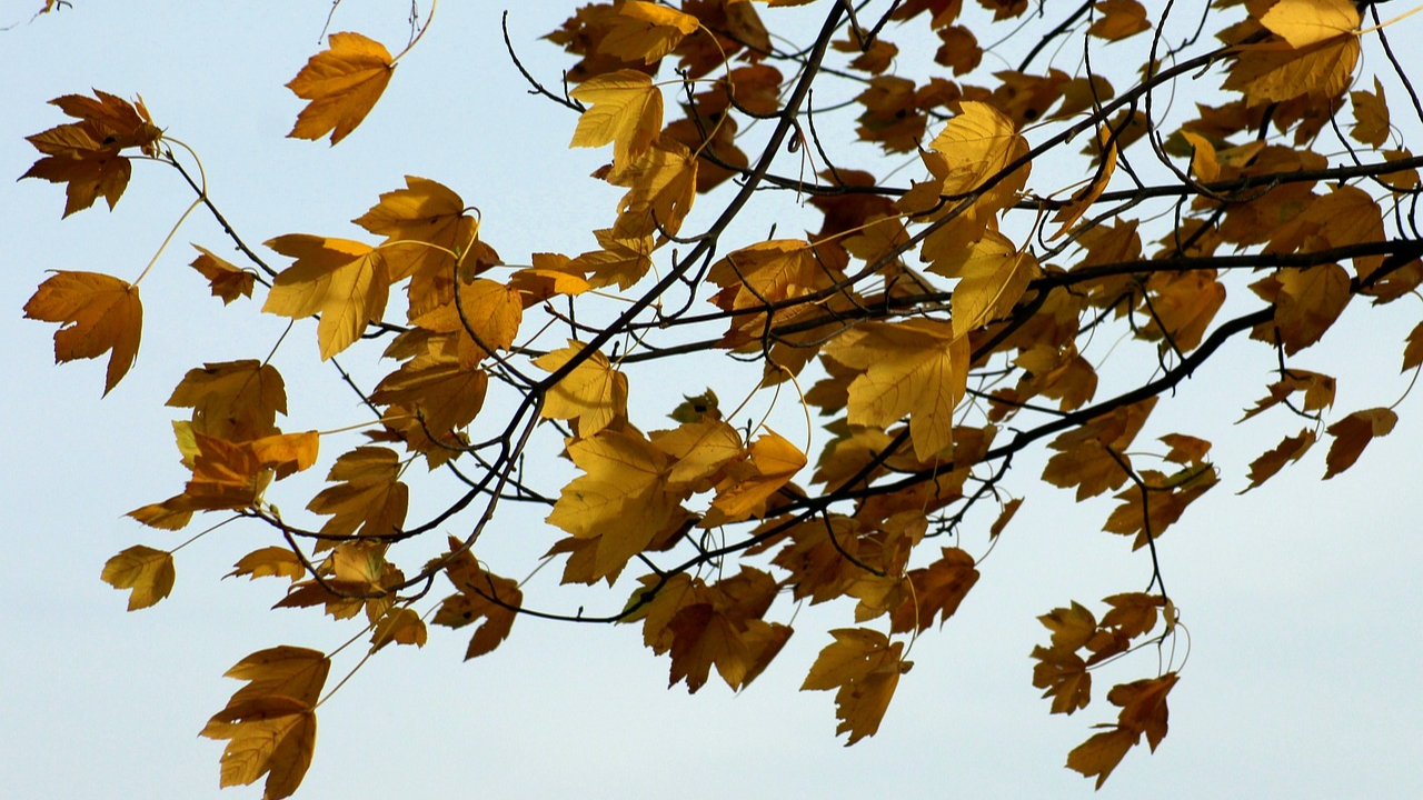 Grosses rafales de vent ce lundi sur le Rhône Grosses rafales de vent ce lundi sur le Rhône
