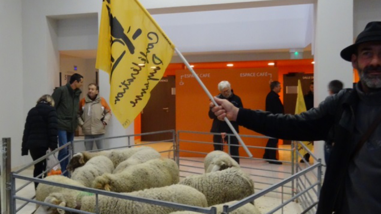 Attaques de loups : la DREAL à Lyon envahie par des paysans ce jeudi