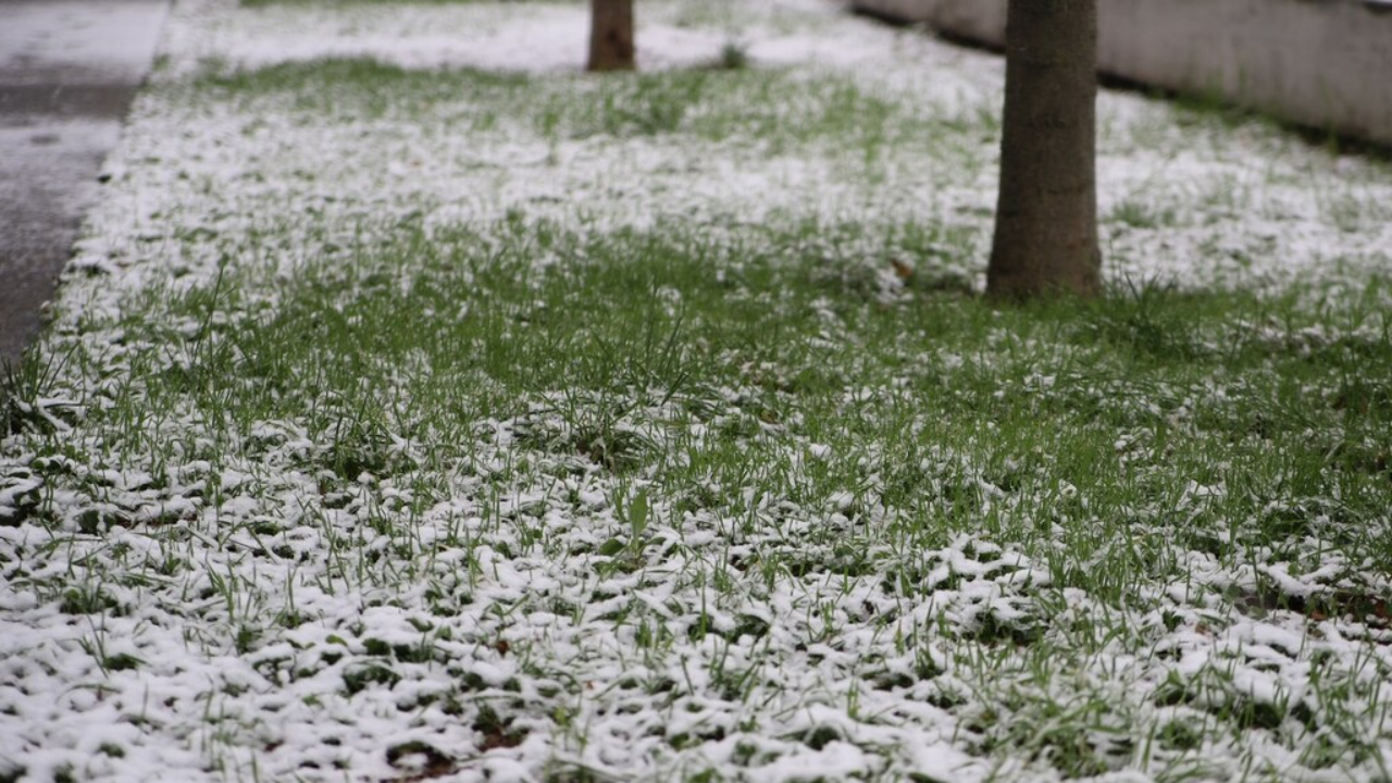 La Métropole de Lyon déclenche de nouveau son dispositif de viabilité hivernale en raison d'un risque de verglas La Métropole de Lyon déclenche de nouveau son dispositif de viabilité hivernale en raison d'un risque de verglas