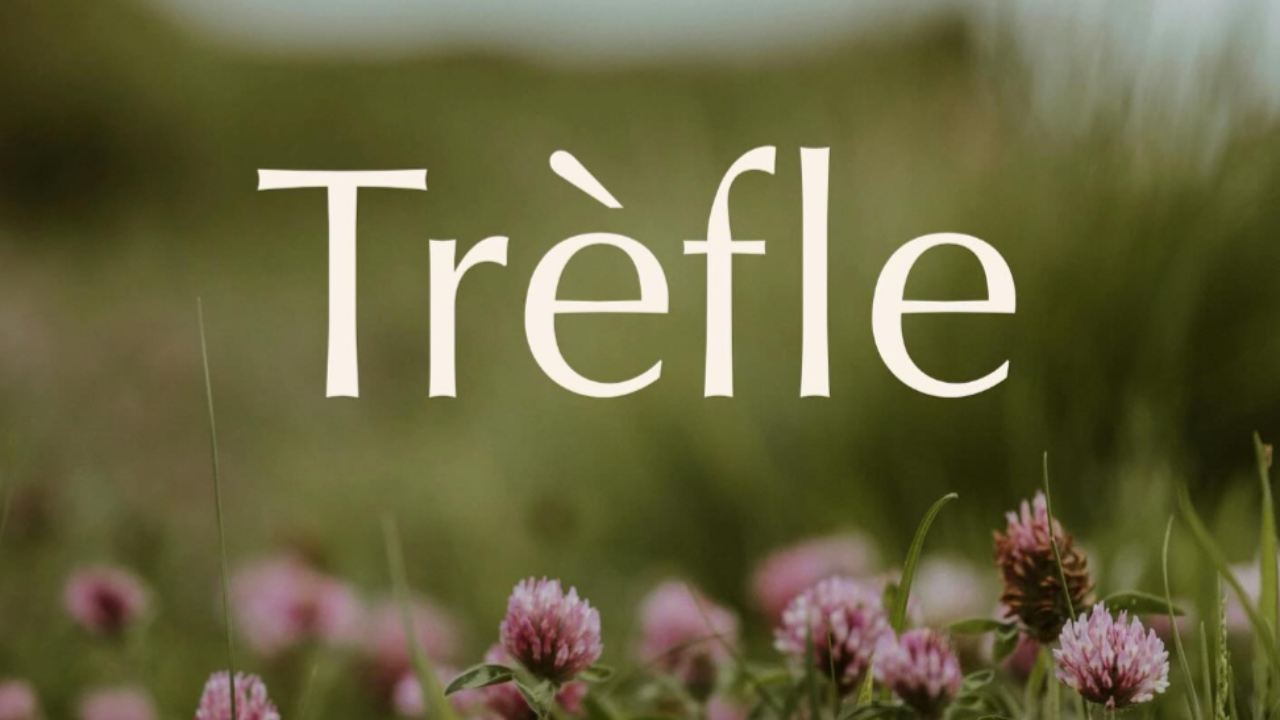 Le premier restaurant gastronomique végétalien de Lyon va bientôt ouvrir ses portes !