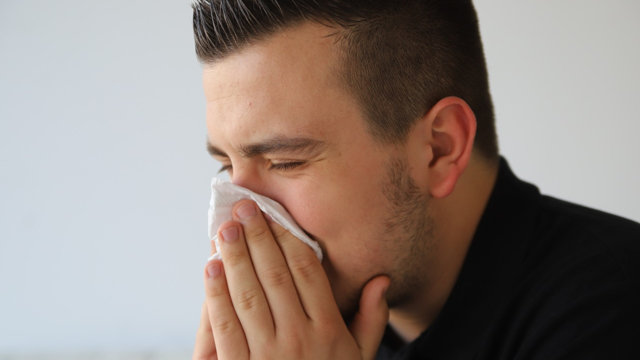 Le Rhône en alerte rouge pour les allergies aux pollens d’Aulne et de Noisetier