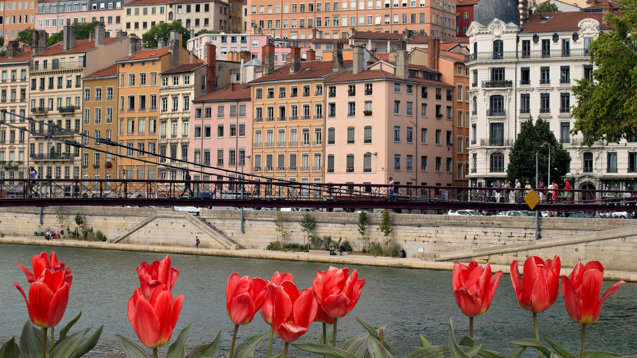 Métropole de Lyon : la nouvelle carte interactive qui va sauver les personnes allergiques !
