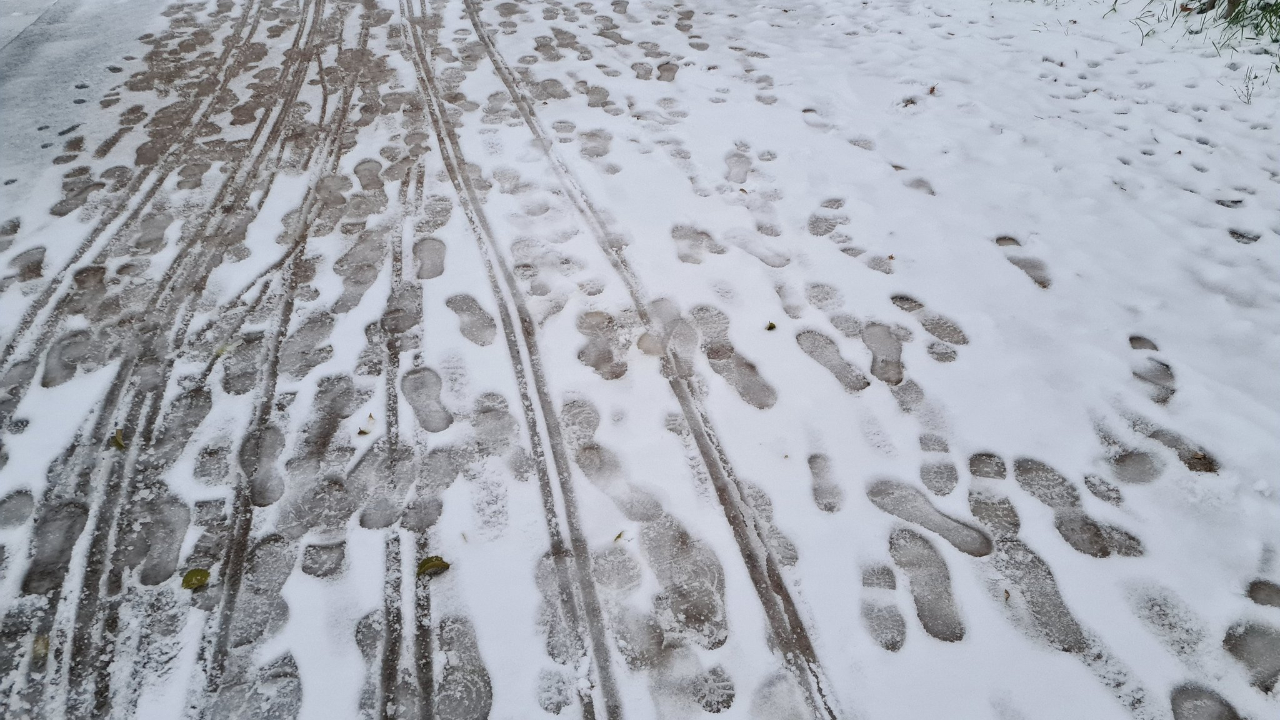 Neige : la Métropole de Lyon déclenche son dispositif de viabilité hivernale Neige : la Métropole de Lyon déclenche son dispositif de viabilité hivernale
