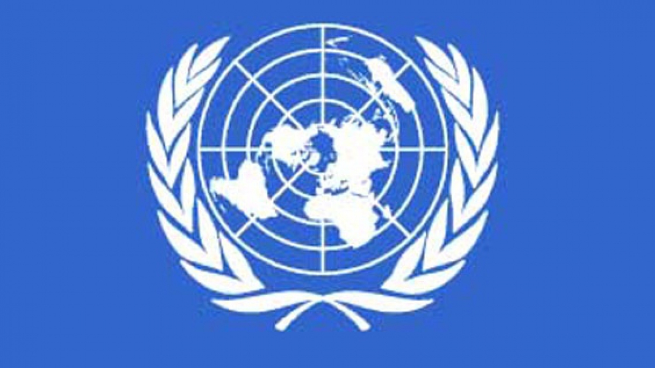 Crises humanitaires : l'ONU lance un appel aux dons pour 2015