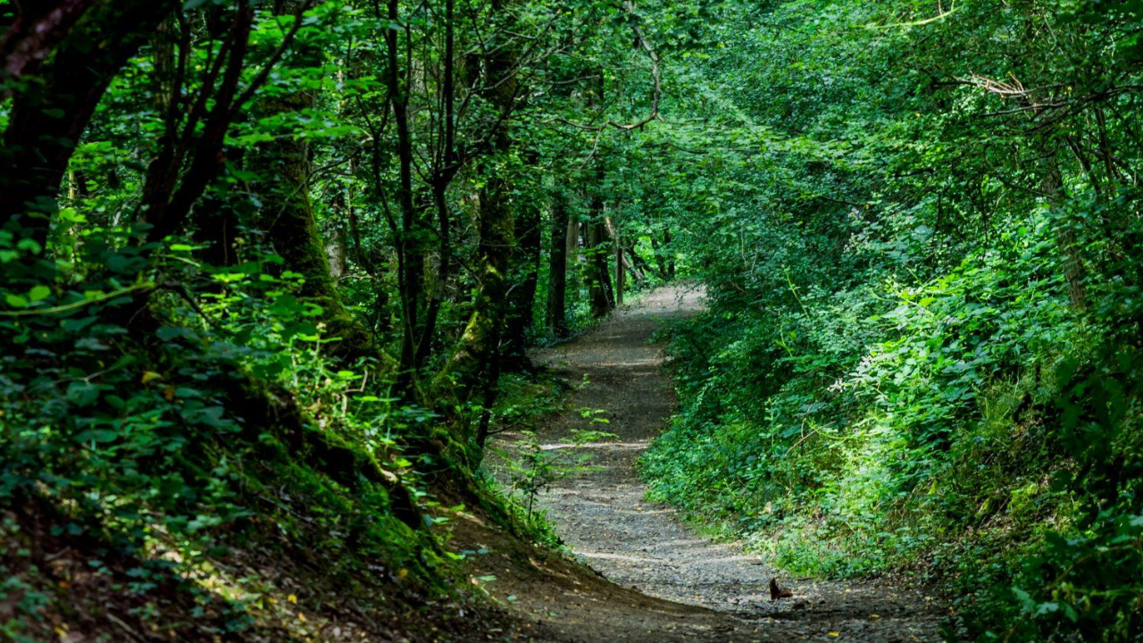 Rhône : Balade autour de Lyon - tour du bois de Serres