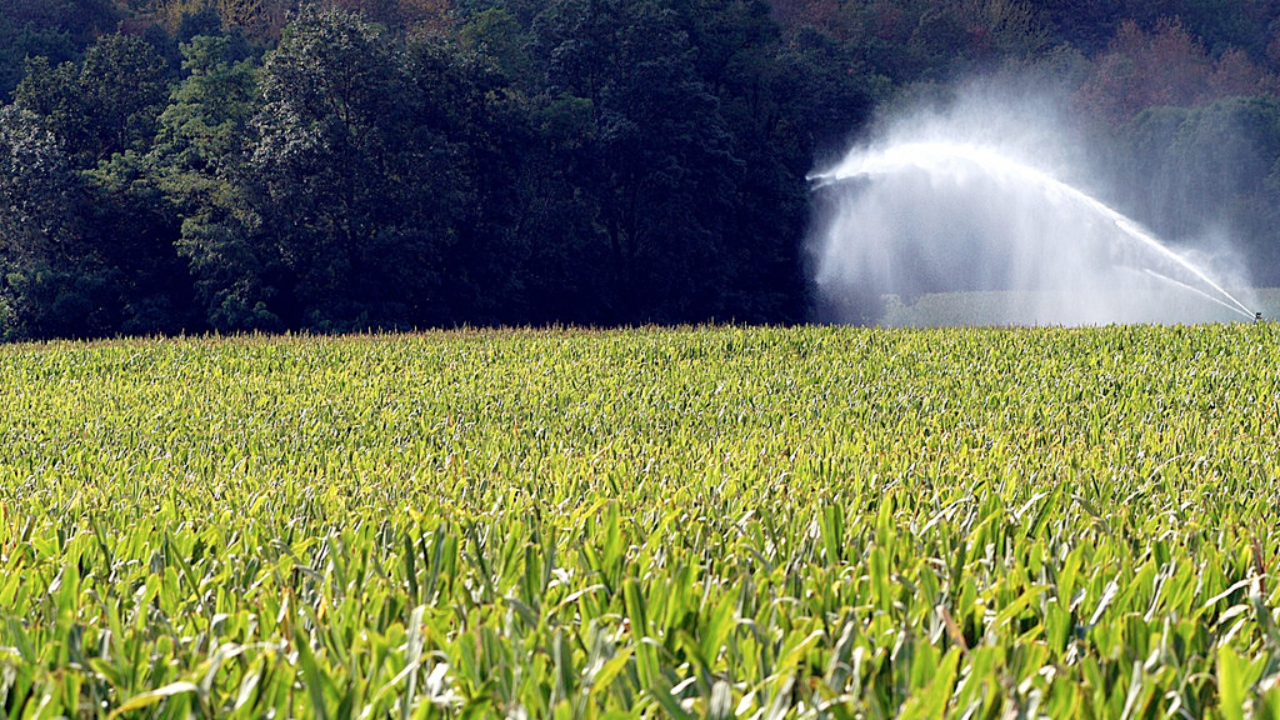 Rhône : l’état de catastrophe naturelle reconnue dans 28 communes