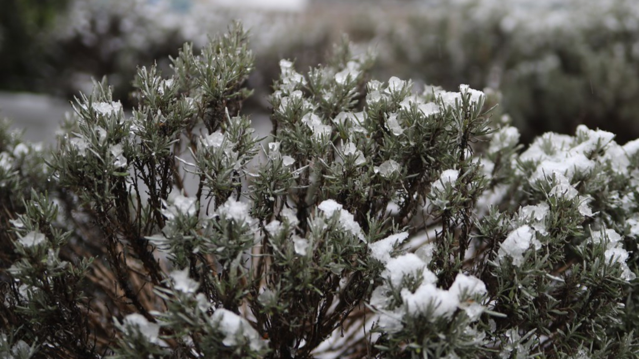 Rhône : vigilance orange neige et verglas ce mercredi ! Rhône : vigilance orange neige et verglas ce mercredi !