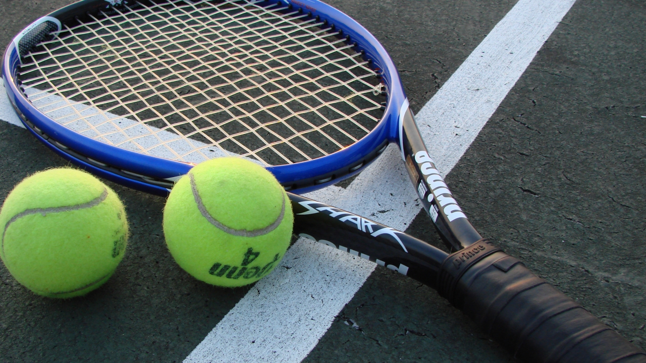 Coupe Davis : la France accède à la finale après la victoire en double de Gasquet et Tsonga