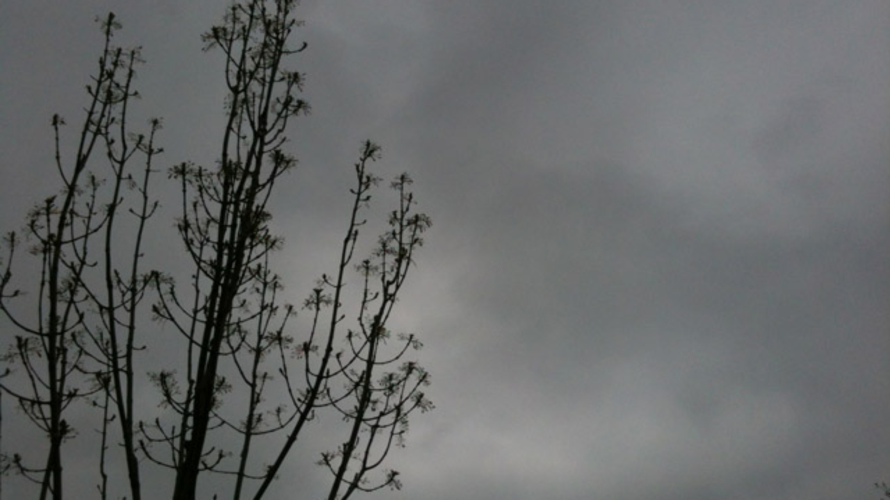 Villeurbanne : les parcs, jardins et cimetières de Villeurbanne fermés ce samedi en raison des vents violents Villeurbanne : les parcs, jardins et cimetières de Villeurbanne fermés ce samedi en raison des vents violents