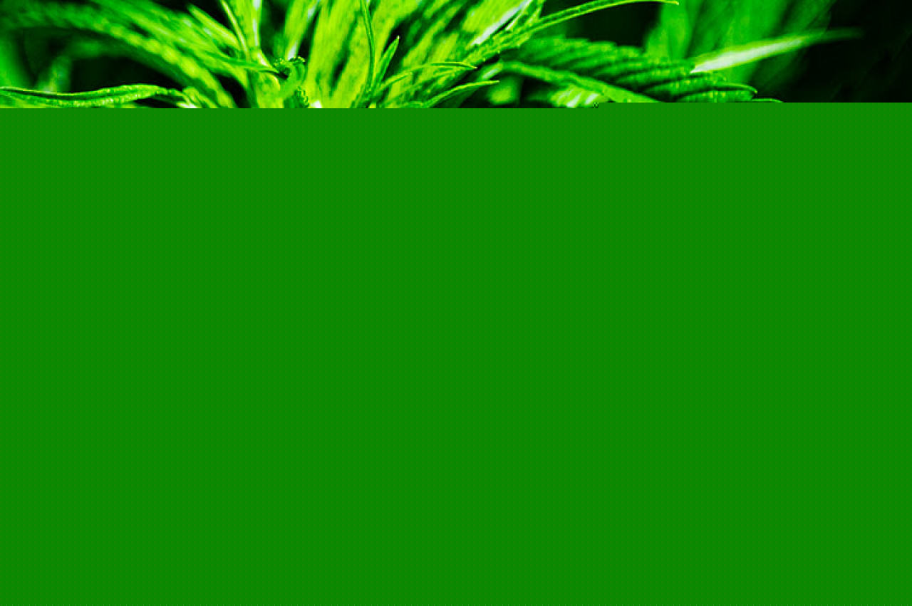 Est Lyonnais: 8 interpellations dans une affaire de drogue Est Lyonnais: 8 interpellations dans une affaire de drogue