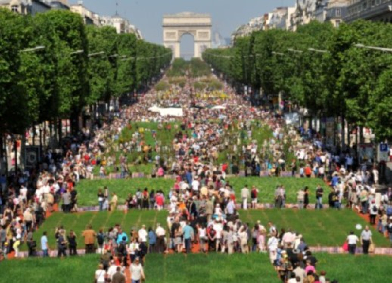 "Nature Capitale" débarque à Lyon