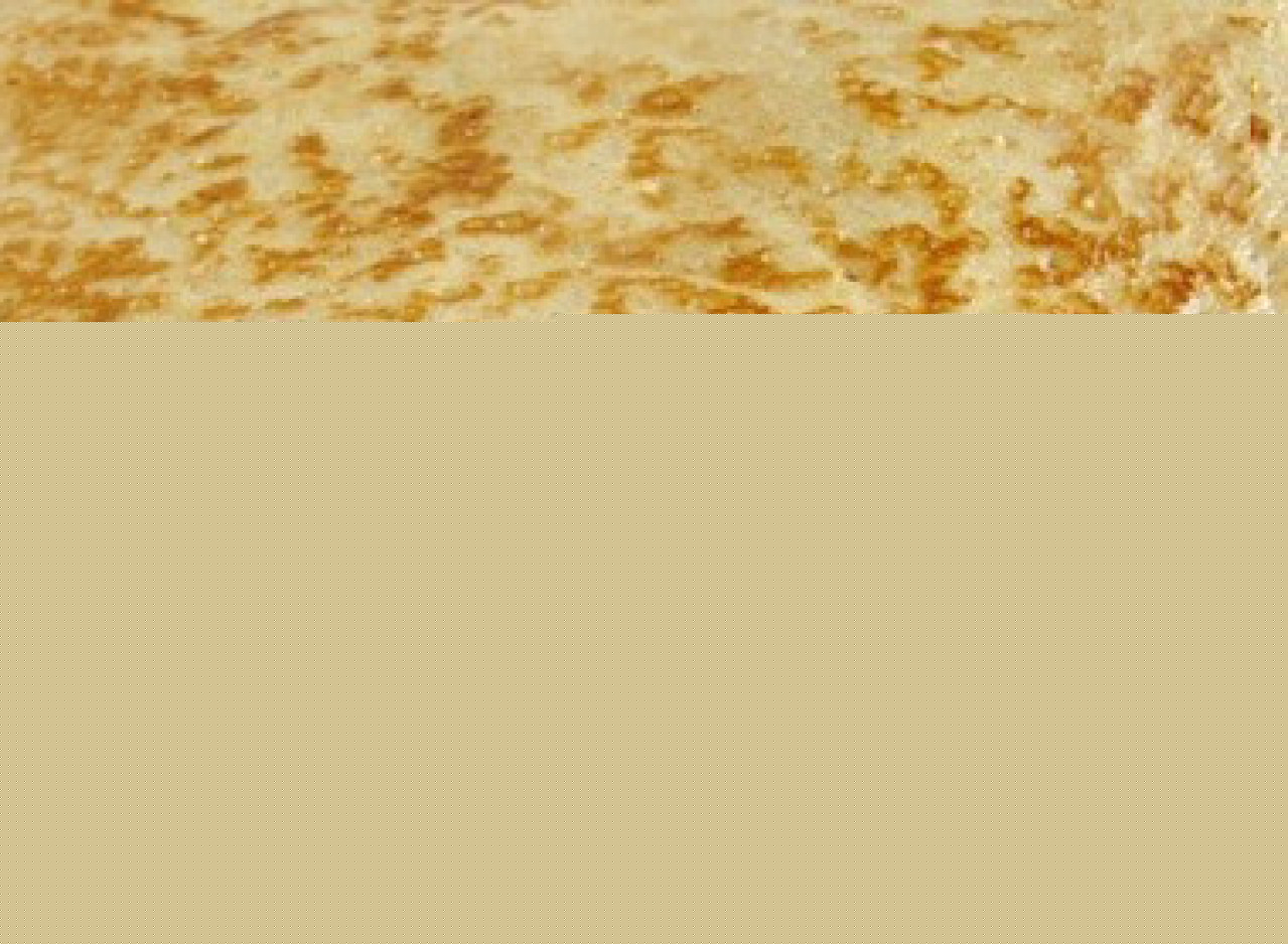 Dégustation de crêpes aux Terreaux pour la chandeleur Dégustation de crêpes aux Terreaux pour la chandeleur