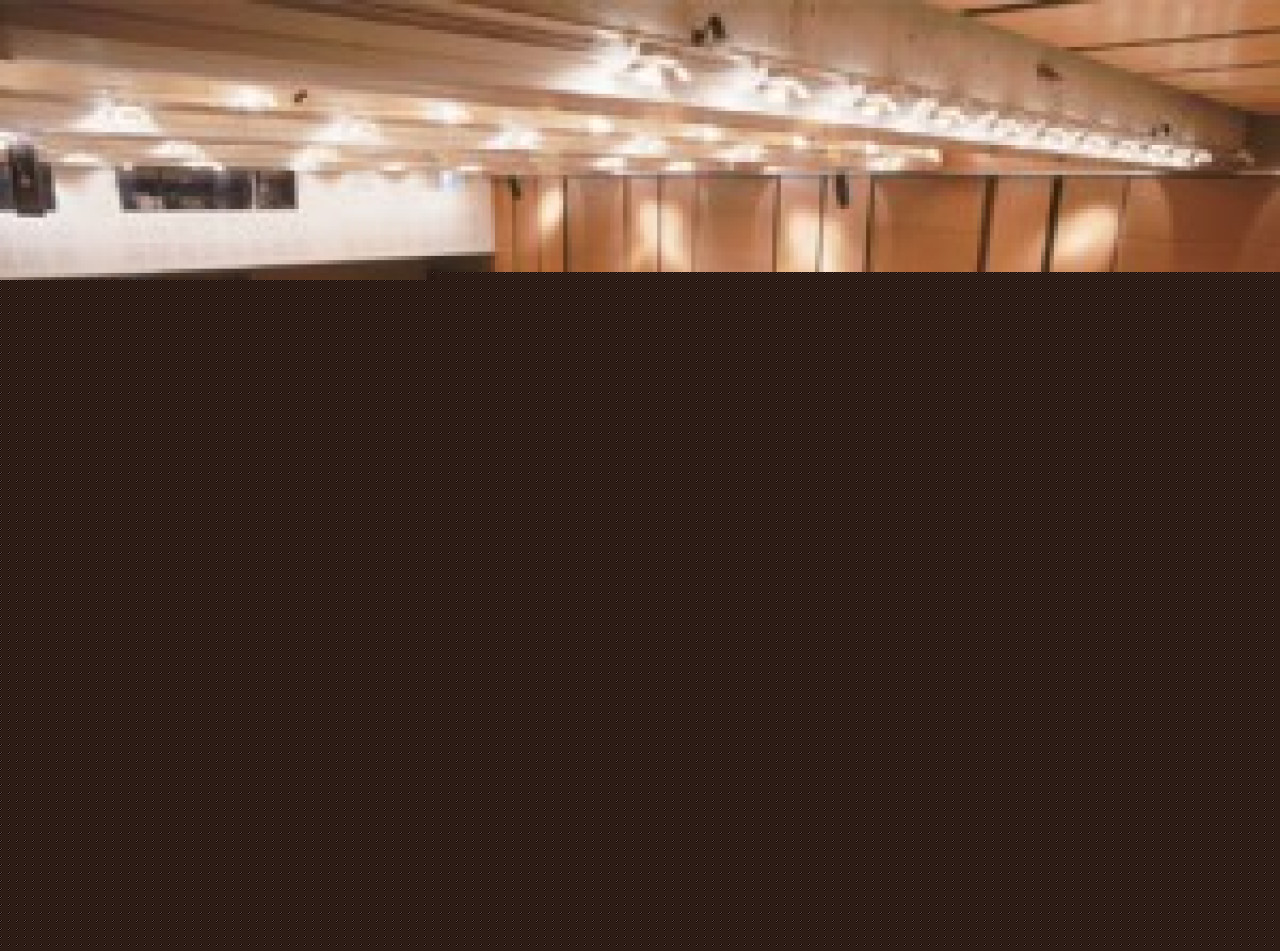 Lyon s’engage pour la défense de l’environnement Lyon s’engage pour la défense de l’environnement