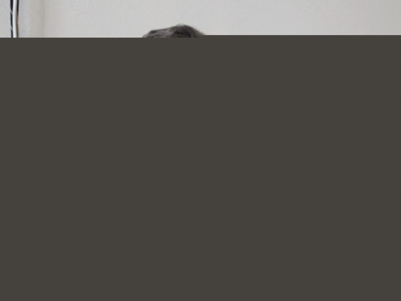 Un d&eacute;put&eacute; Rh&ocirc;nalpin propose de doubler les d&eacute;lais pour entamer une poursuite judiciaire