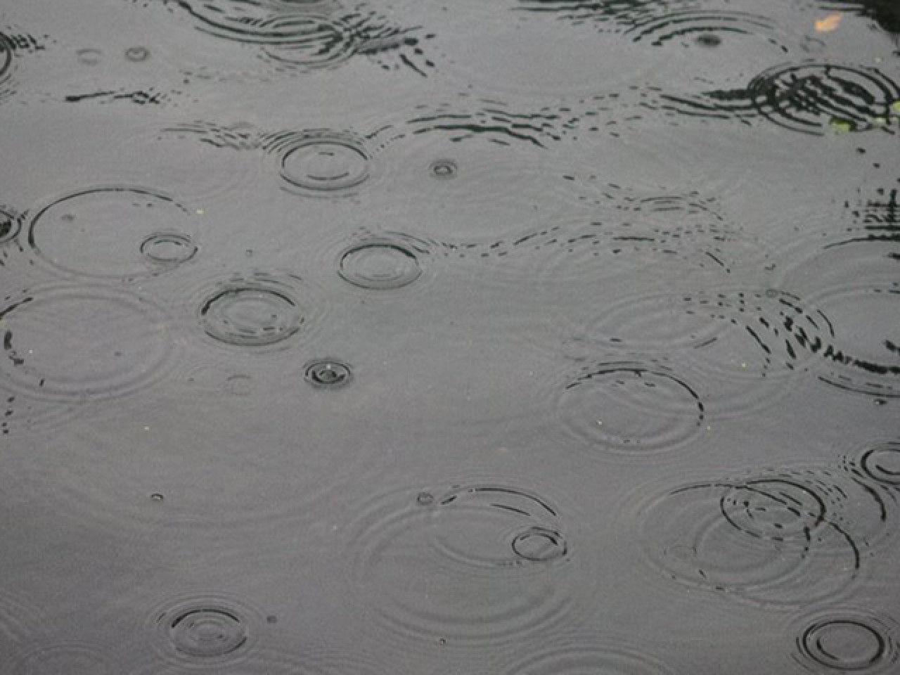 Météo à Lyon : des orages attendus tout le week-end Météo à Lyon : des orages attendus tout le week-end