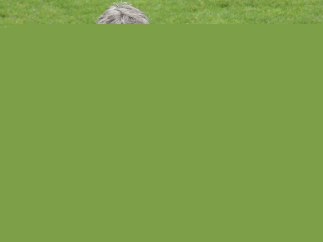 L’OL féminin face à Dijon pour les quarts de finale de la Coupe de France L’OL féminin face à Dijon pour les quarts de finale de la Coupe de France