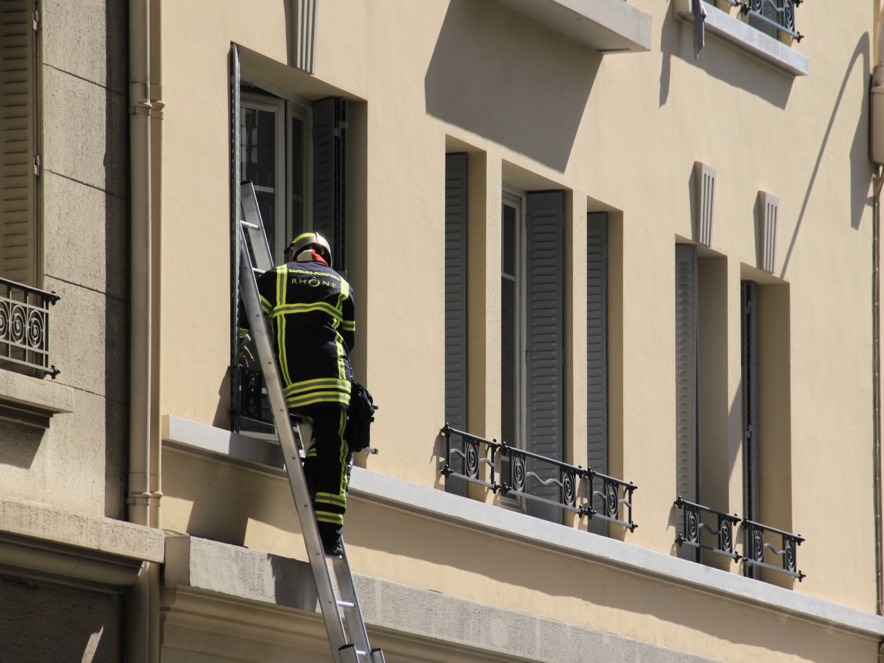 Villeurbanne : le chat sauvé après une semaine passée sur le toit d'un immeuble Villeurbanne : le chat sauvé après une semaine passée sur le toit d'un immeuble