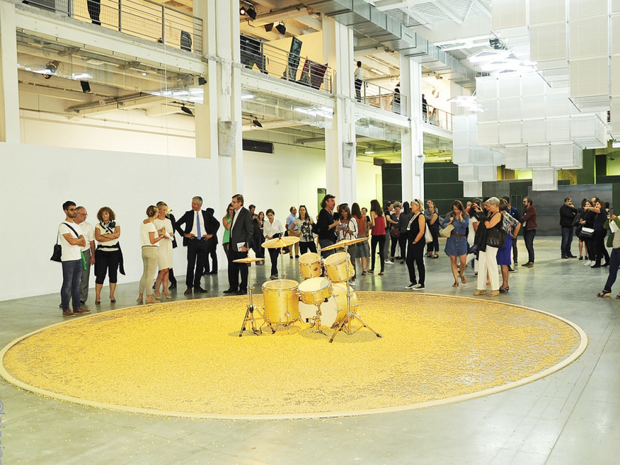 Biennale 2015 : les visiteurs au rendez-vous à Lyon