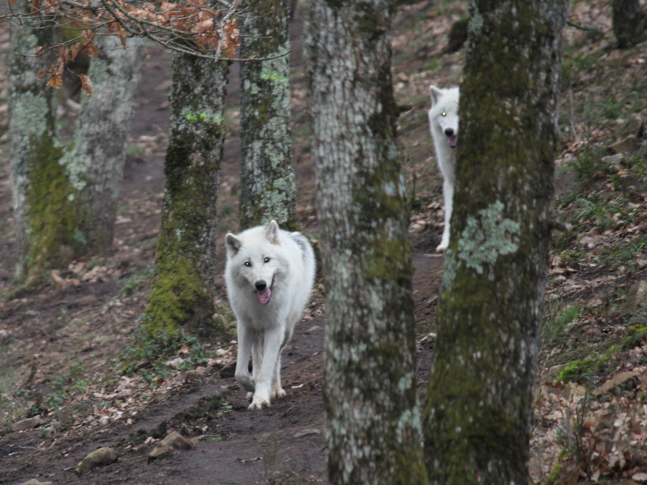 Que faire ce week-end des 27 et 28 février à Lyon ? Que faire ce week-end des 27 et 28 février à Lyon ?