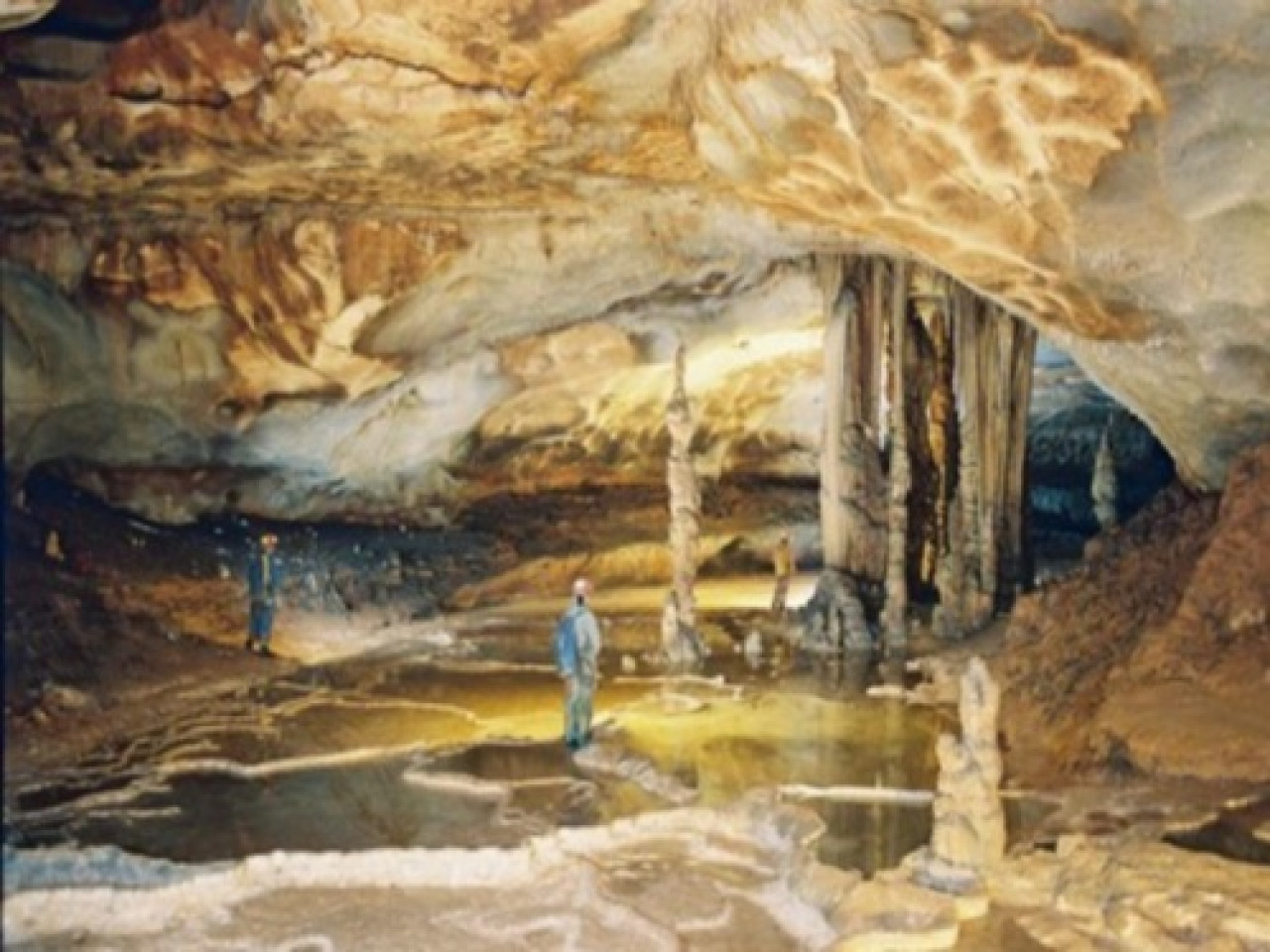 Ard&egrave;che: le sp&eacute;l&eacute;ologue serait vivant