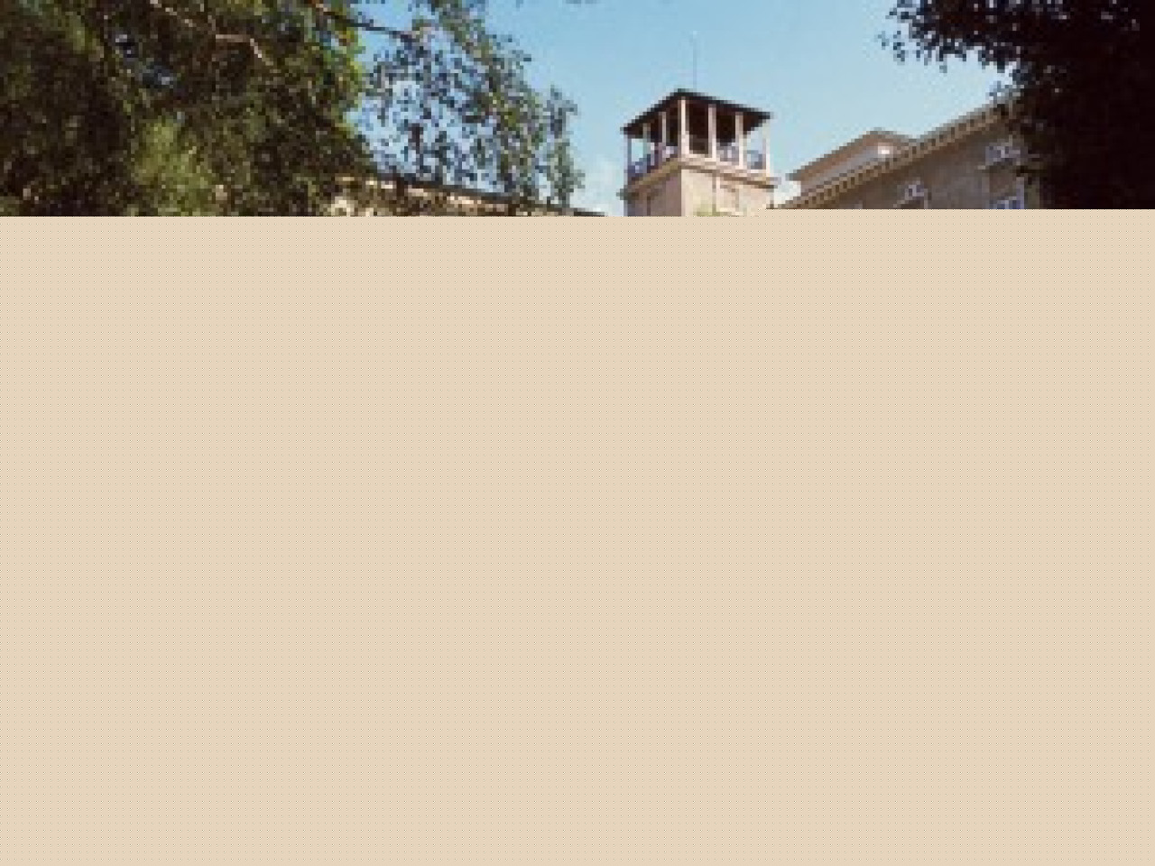 Beau succès pour Des racines & des ailes spécial Lyon Beau succès pour Des racines & des ailes spécial Lyon