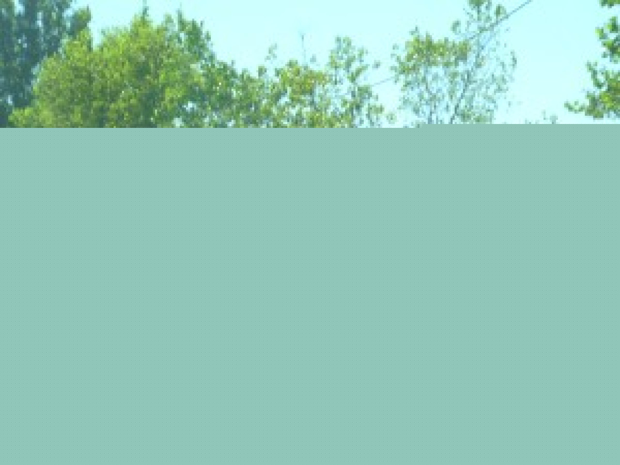 Bison Futé voit orange Bison Futé voit orange