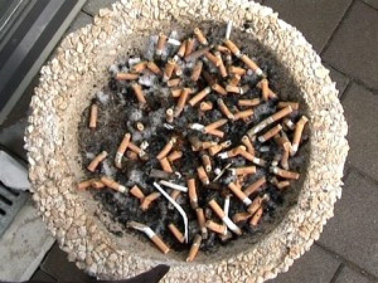 C&rsquo;est aujourd&rsquo;hui la Journ&eacute;e mondiale sans tabac